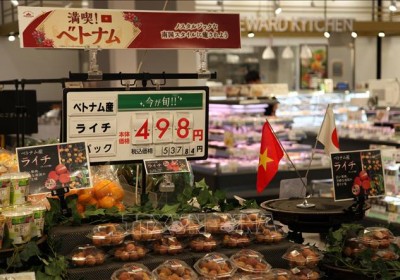 Exporting goods to Japan – Procedures and what to know